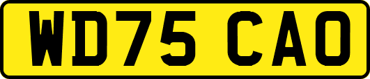WD75CAO