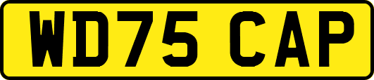 WD75CAP