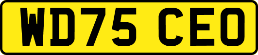 WD75CEO