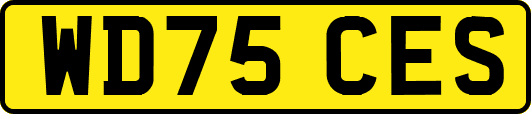 WD75CES