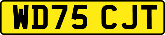 WD75CJT