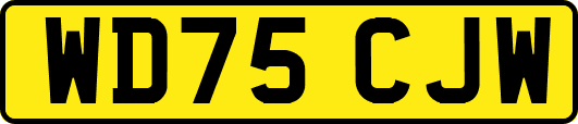 WD75CJW