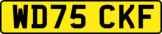 WD75CKF