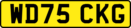 WD75CKG