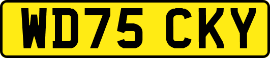 WD75CKY