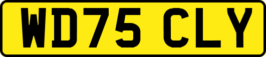 WD75CLY