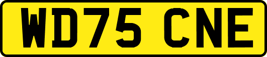 WD75CNE