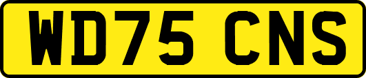 WD75CNS