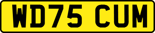 WD75CUM