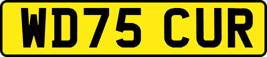 WD75CUR