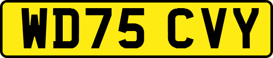 WD75CVY