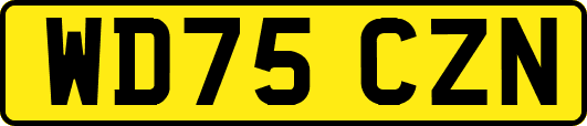 WD75CZN
