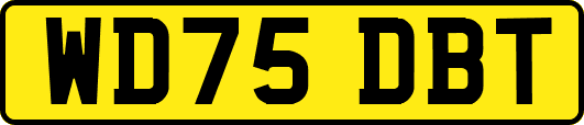 WD75DBT
