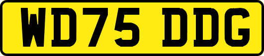 WD75DDG