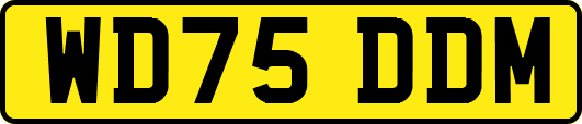 WD75DDM