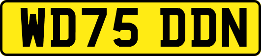WD75DDN