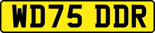 WD75DDR