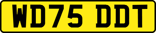 WD75DDT