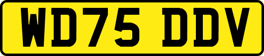 WD75DDV