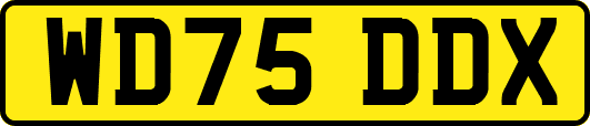WD75DDX