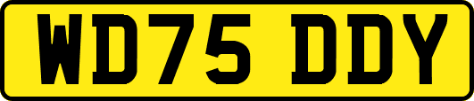 WD75DDY