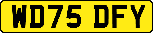 WD75DFY