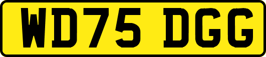 WD75DGG