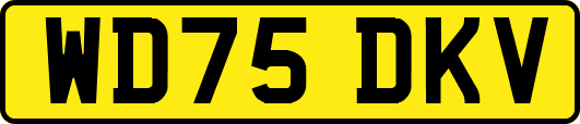 WD75DKV