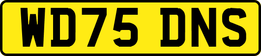 WD75DNS