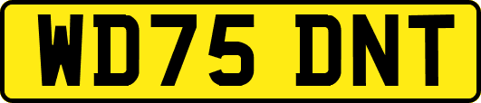 WD75DNT