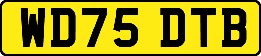 WD75DTB