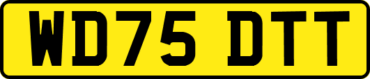 WD75DTT