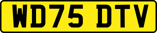 WD75DTV