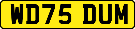 WD75DUM