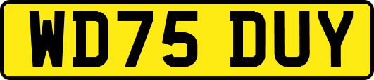 WD75DUY