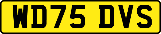 WD75DVS