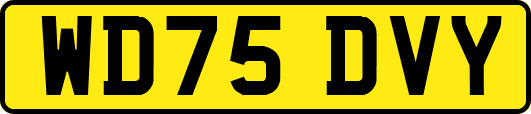 WD75DVY