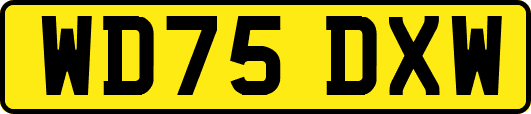 WD75DXW