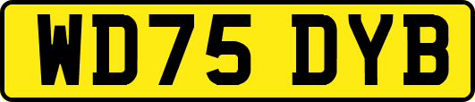 WD75DYB