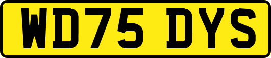 WD75DYS