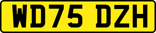 WD75DZH