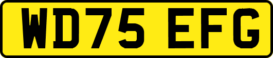 WD75EFG