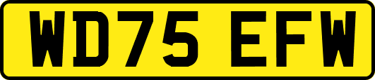 WD75EFW
