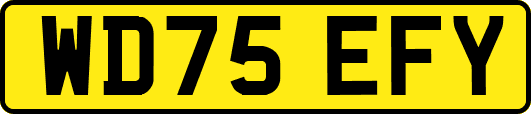 WD75EFY