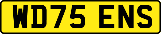 WD75ENS