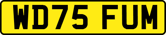 WD75FUM