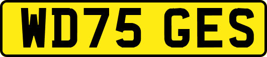WD75GES