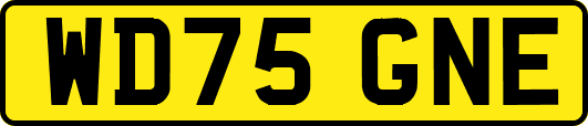 WD75GNE