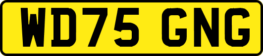 WD75GNG