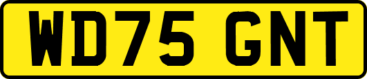 WD75GNT